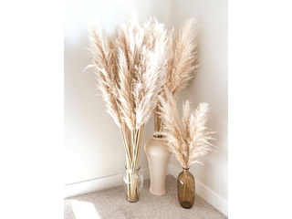 Amber Furniture Pack